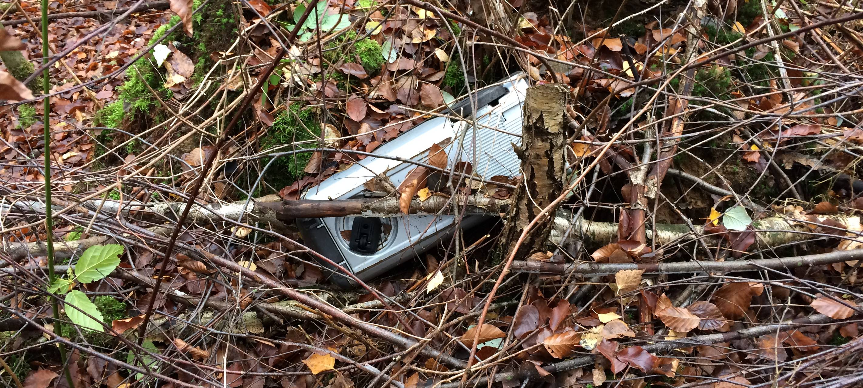 Wilde Müllkippe entdeckt