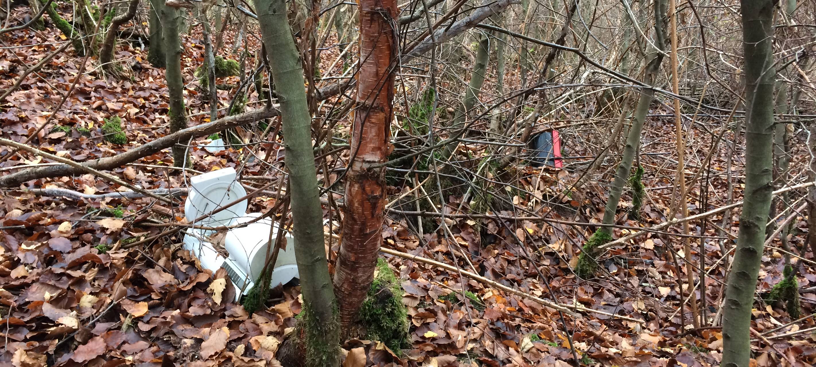 Wilde Müllkippe entdeckt