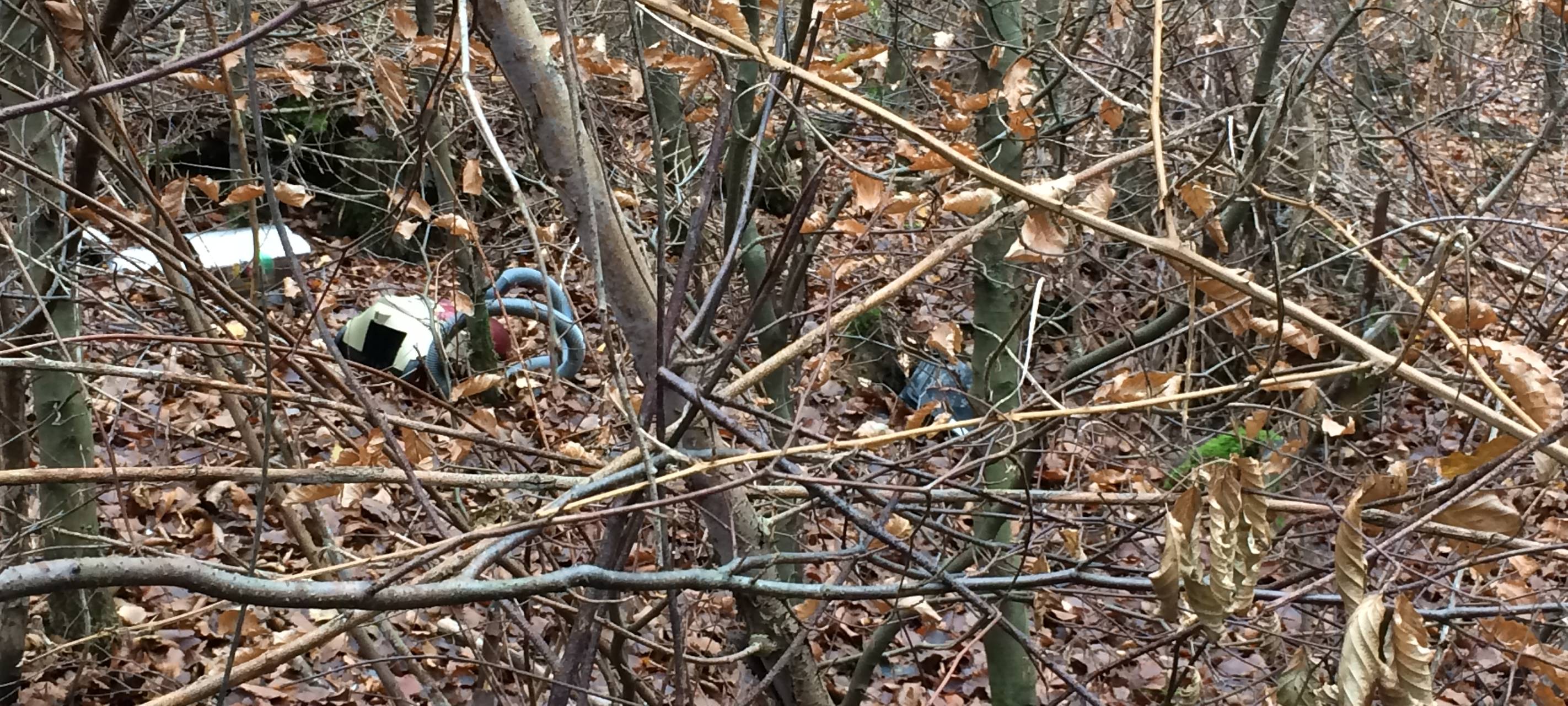 Wilde Müllkippe entdeckt