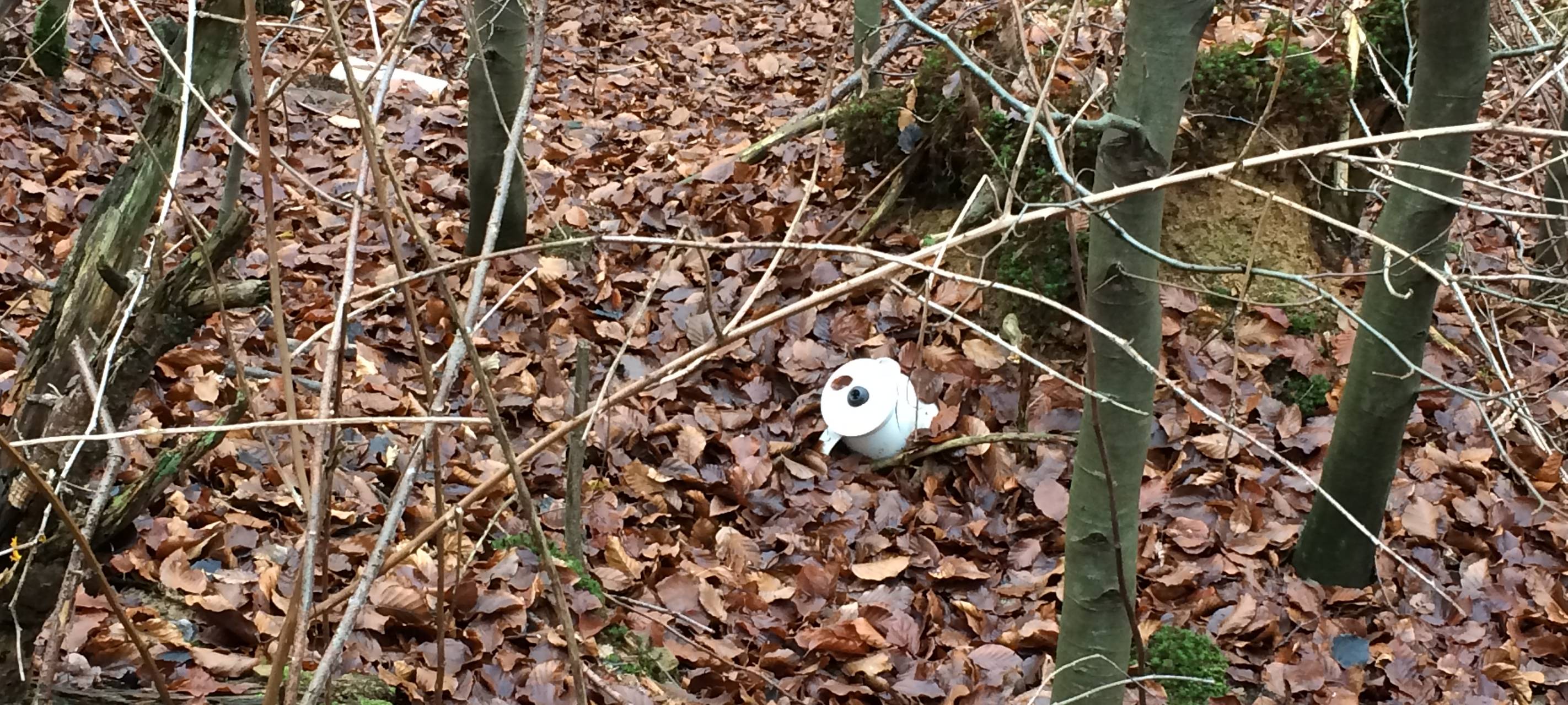 Wilde Müllkippe entdeckt