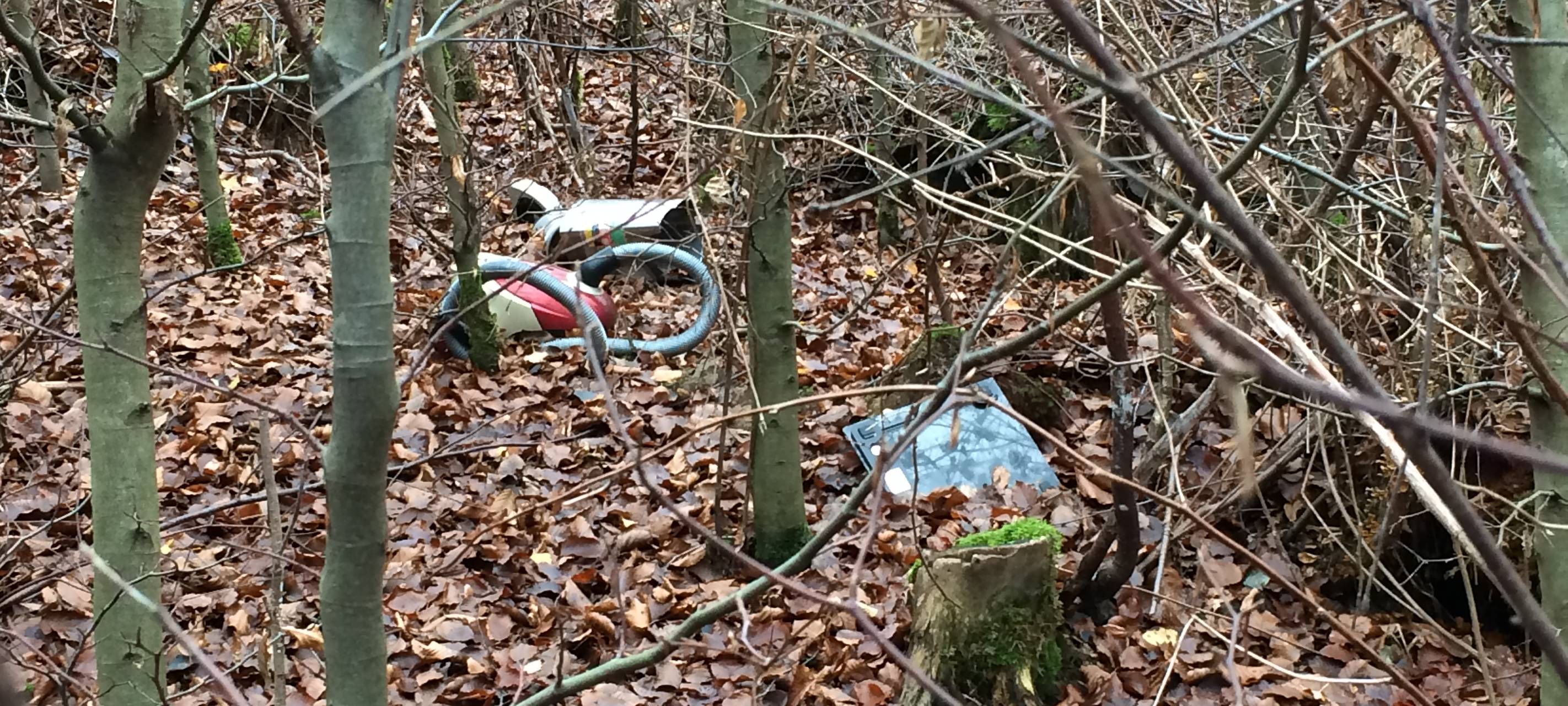 Wilde Müllkippe entdeckt