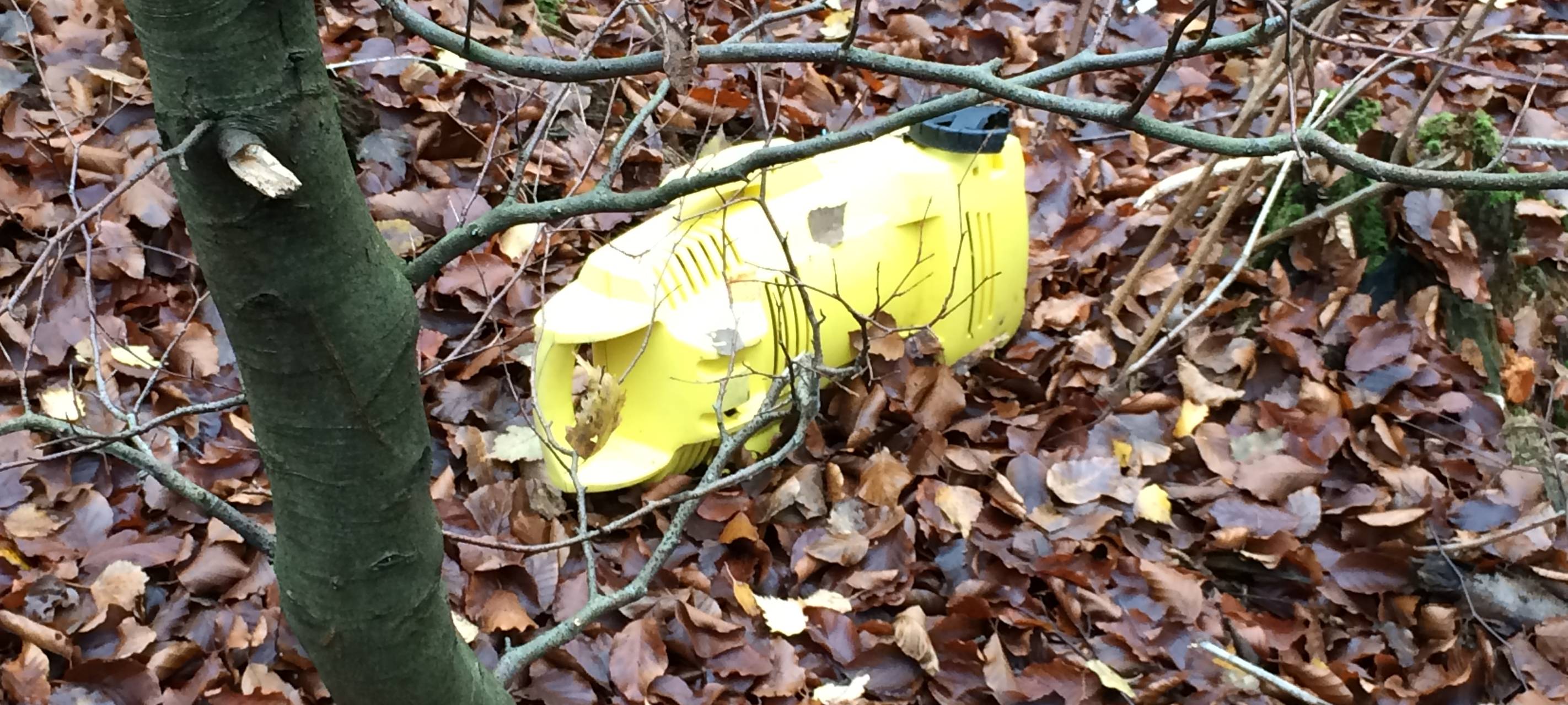 Wilde Müllkippe entdeckt