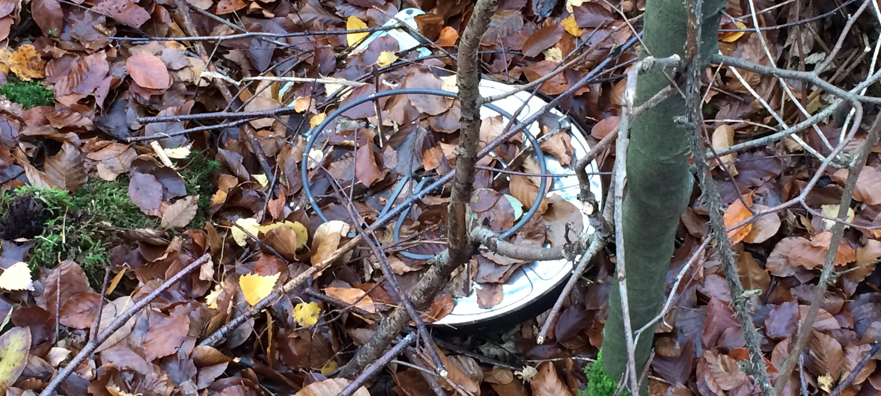 Wilde Müllkippe entdeckt