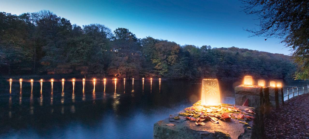Leuchten und Glühen am Hammerteich