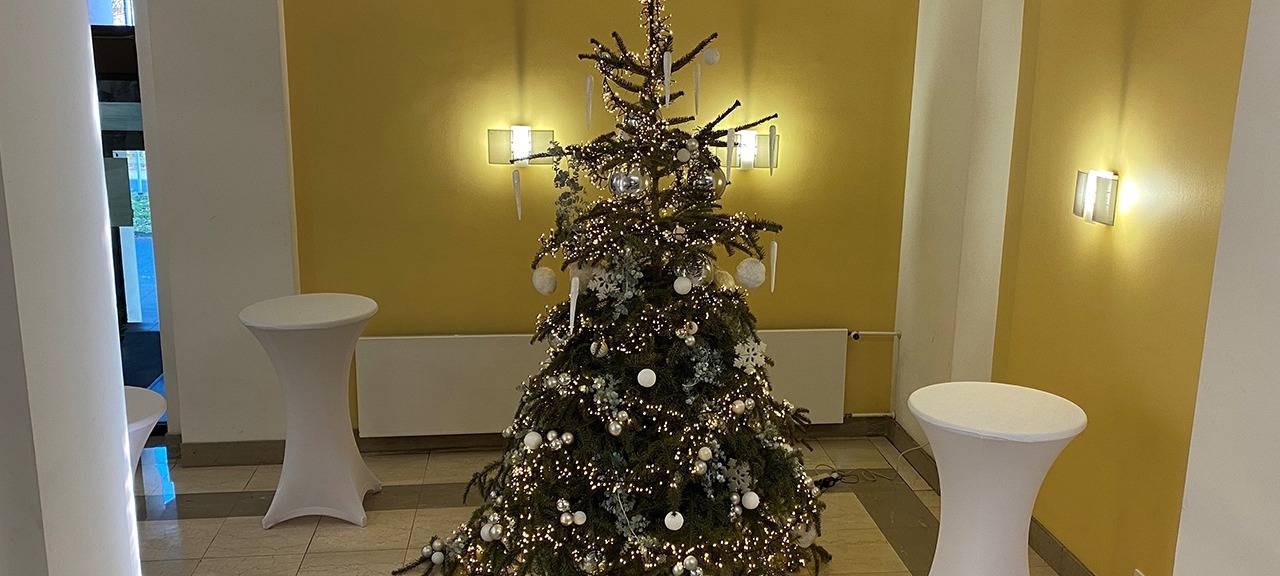So sollte der Weihnachtsbaum entsorgt werden