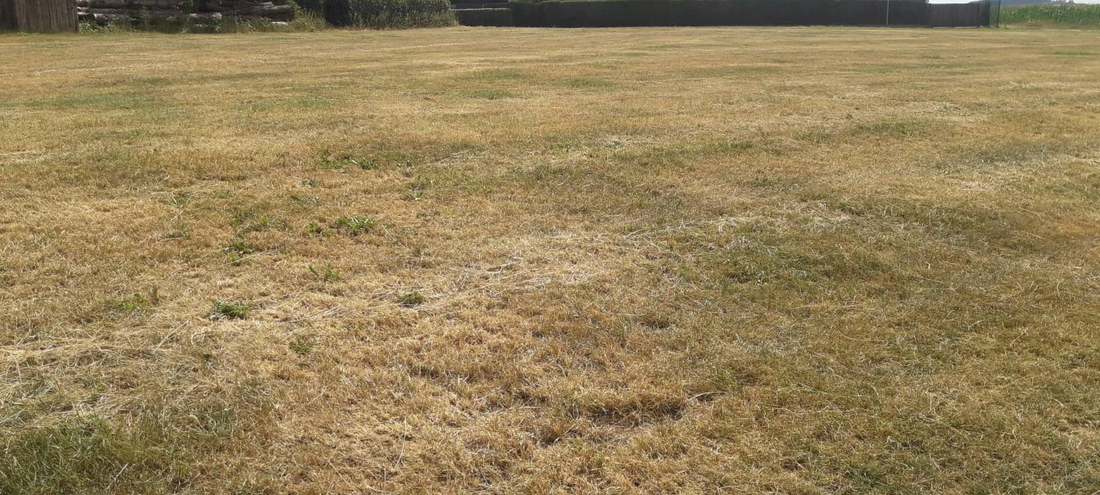 Frühling war deutlich zu trocken