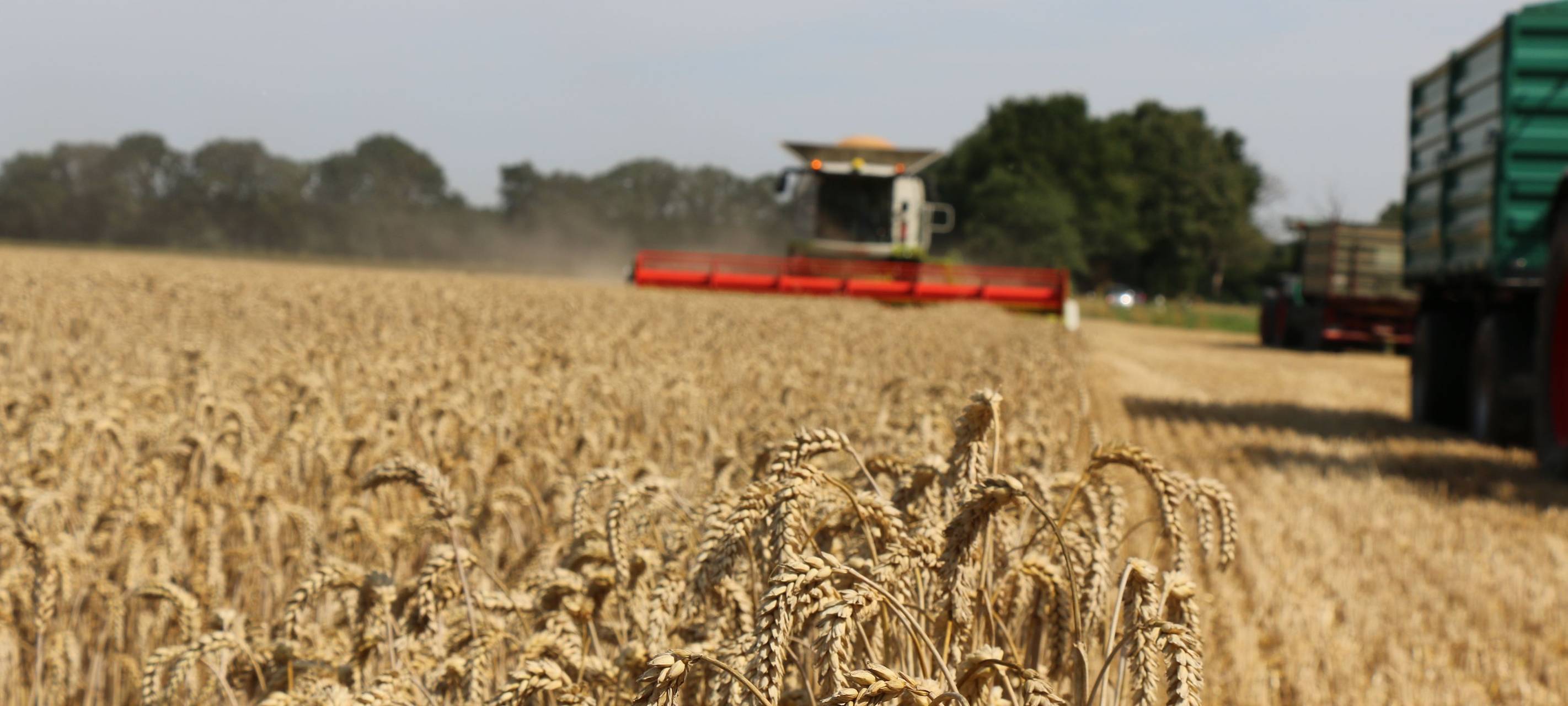 Bauern im EN-Kreis ziehen Bilanz