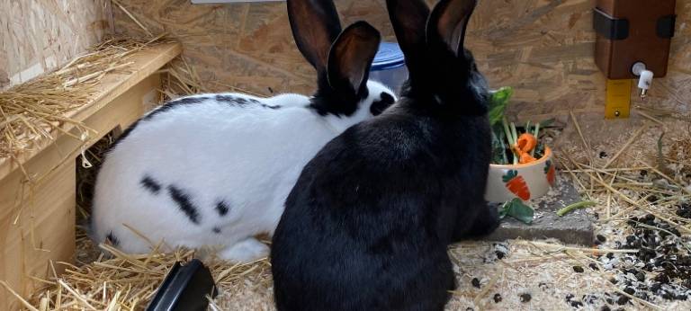 Eine Oase für Kinder