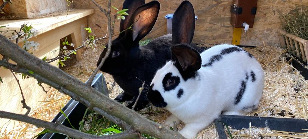 Eine Oase für Kinder