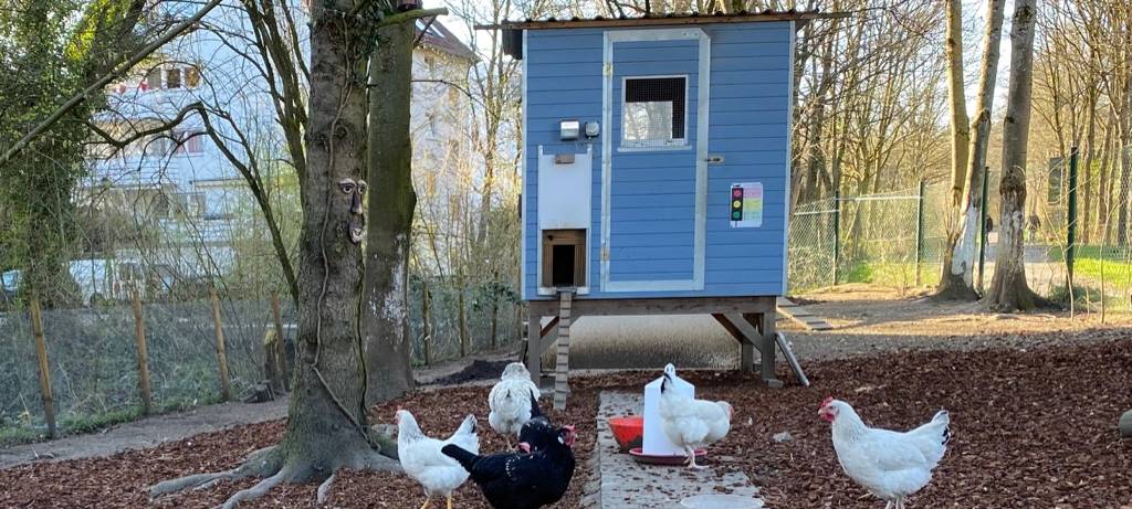 Eine Oase für Kinder