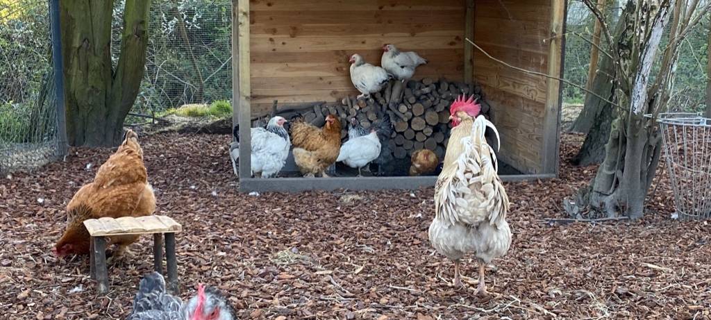 Eine Oase für Kinder