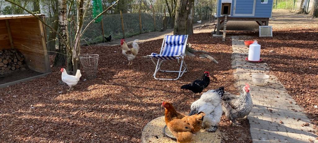 Eine Oase für Kinder