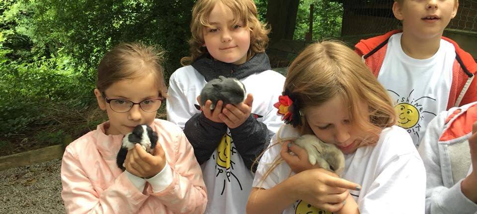 Verein bietet Familien Gartenerholung