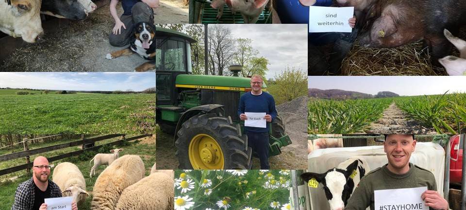 Arbeit in der Landwirtschaft läuft auf Hochtouren