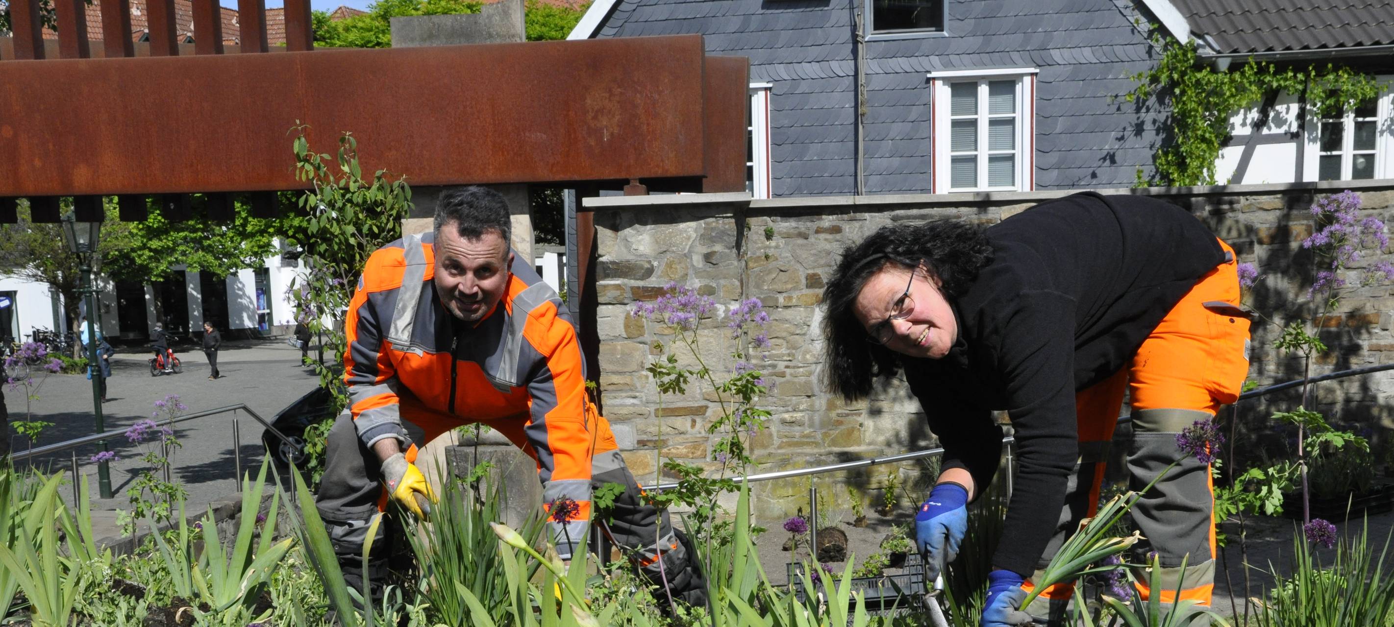 Stadt Hattingen bepflanzt Stadtmauer neu