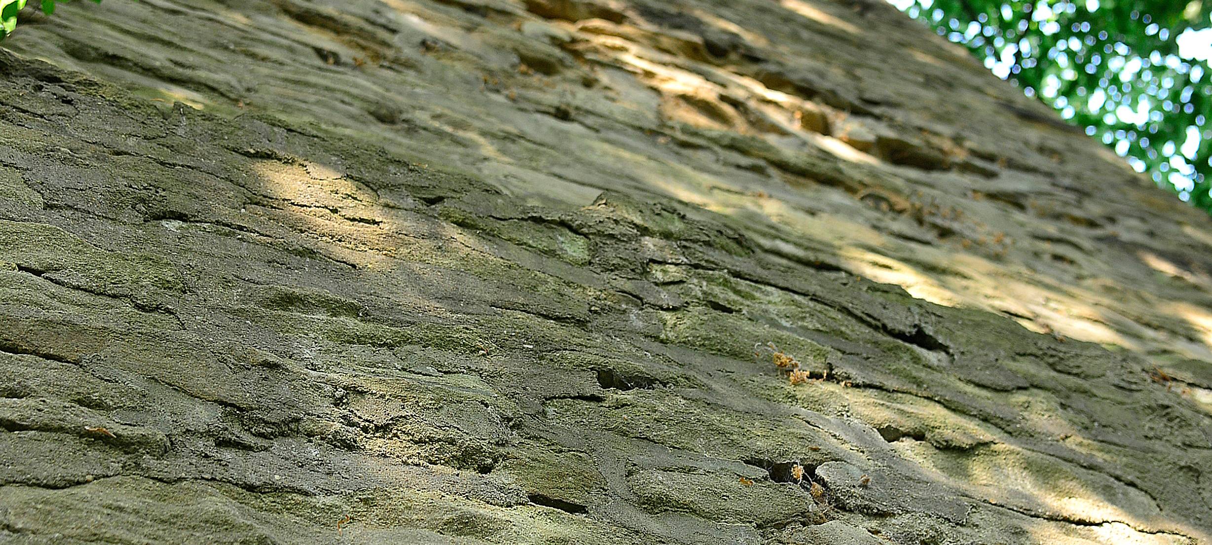 Wetterkamin Buchholz muss saniert werden