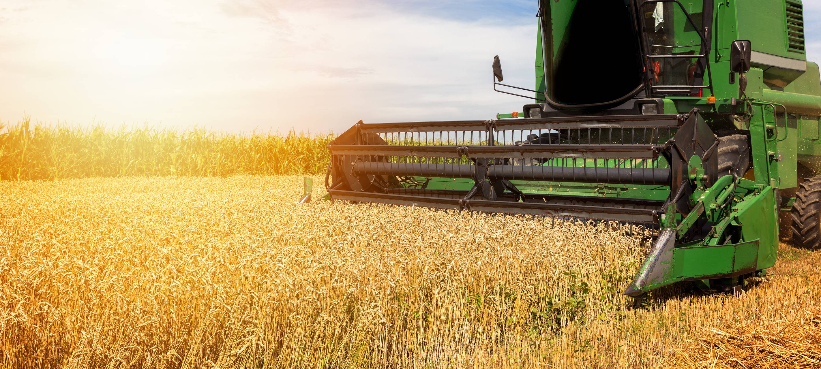 Landwirte hoffen auf gutes Wetter für eine gute Ernte