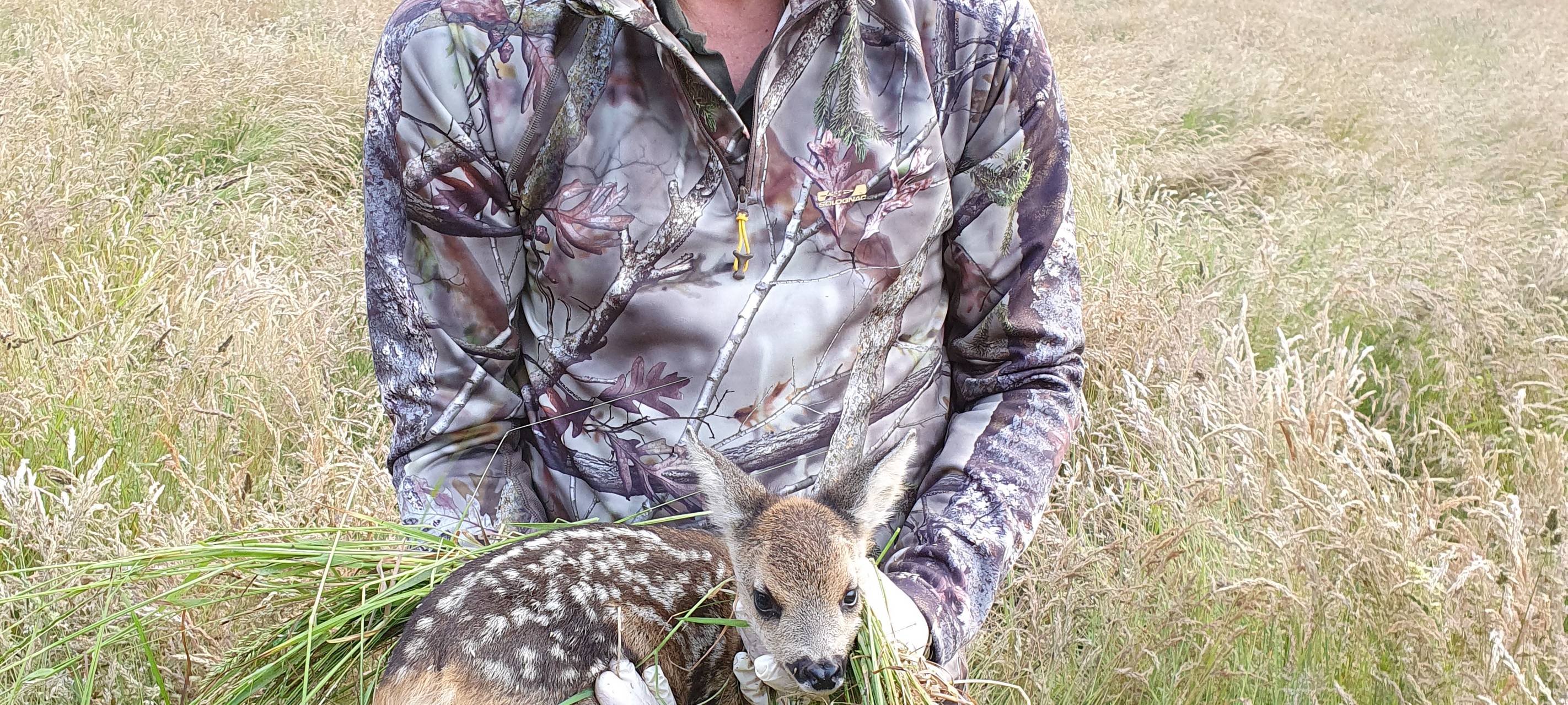 Drohne rettet Rehkitze