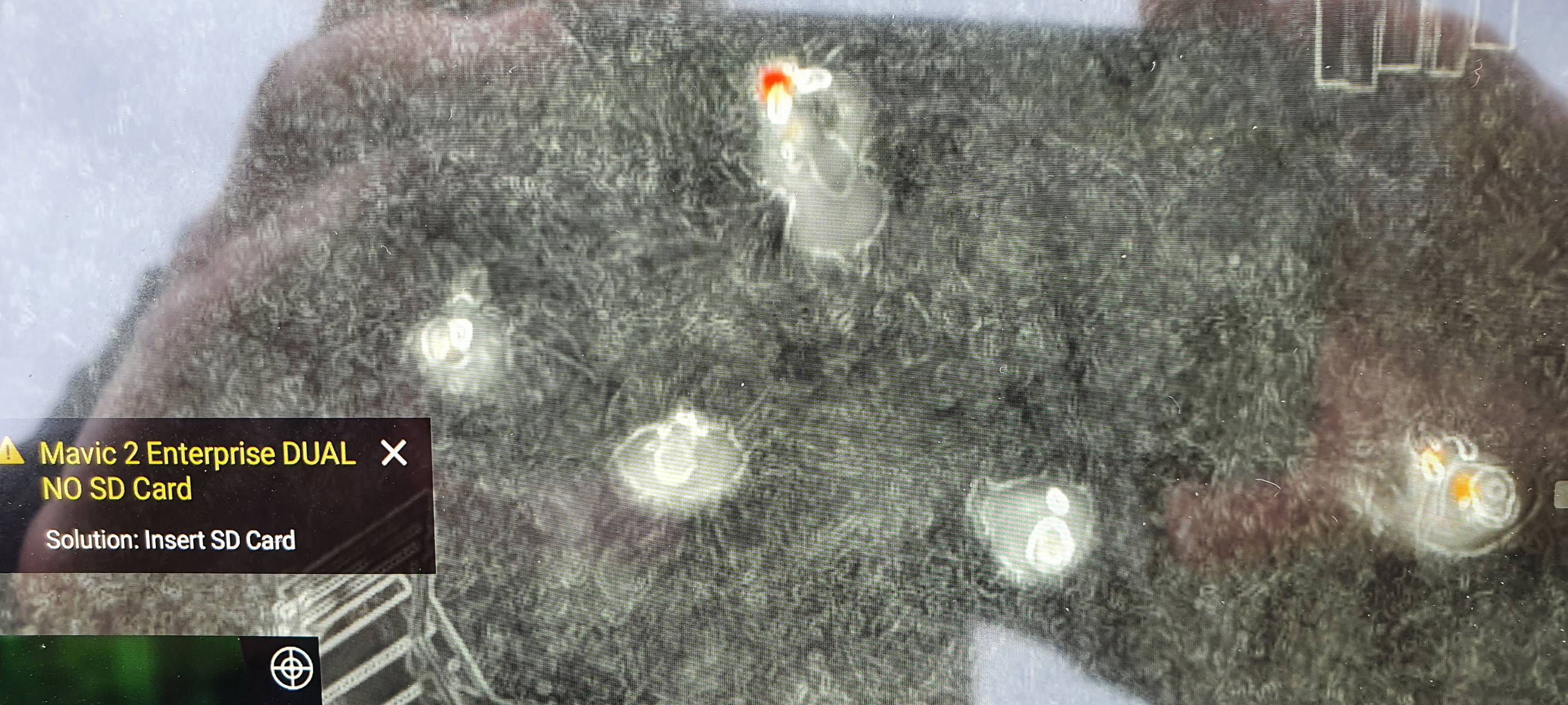 Drohne rettet Rehkitze