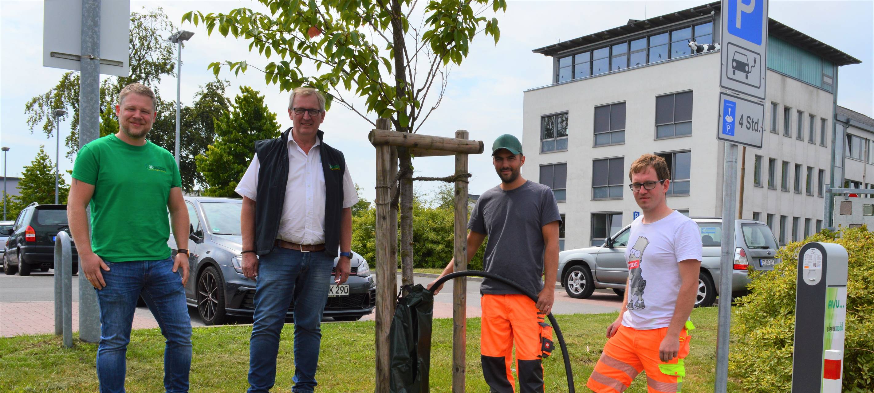 Neue Bäume verbessern Umweltschutz