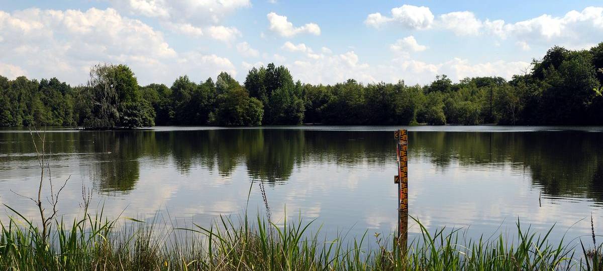 Ennepetalsperre: Ruhrverband beugt Fischsterben vor