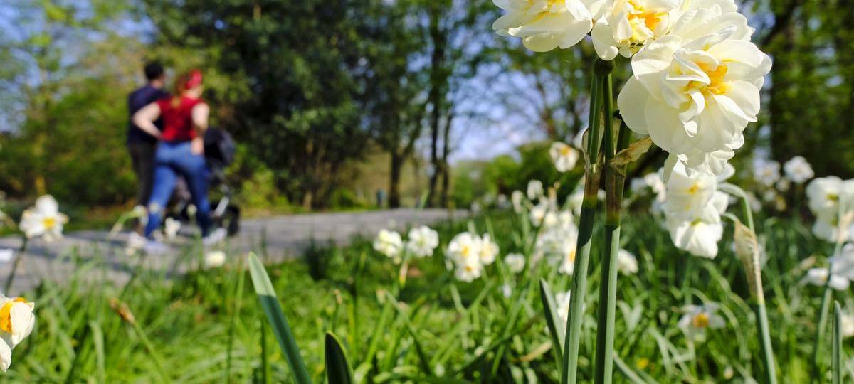 World Cleanup Day in Witten