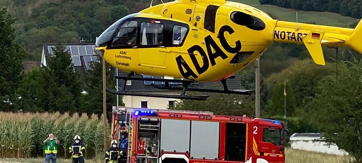 89-Jähriger von umstürzendem Baum verletzt