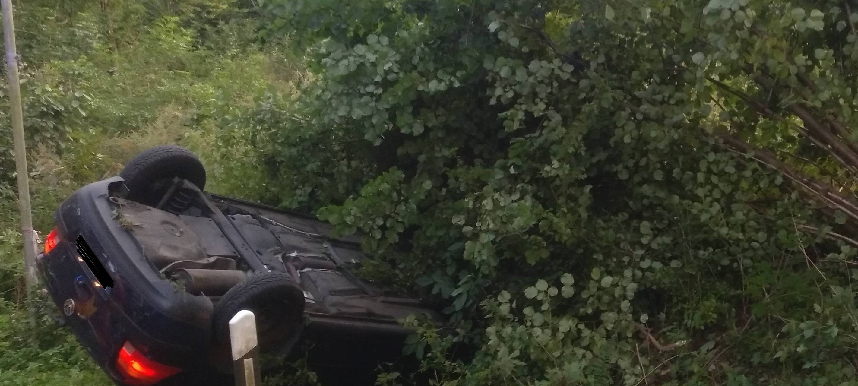 Wespe verursacht Unfall