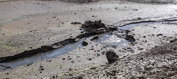 Sommer war dieses Jahr wieder zu trocken