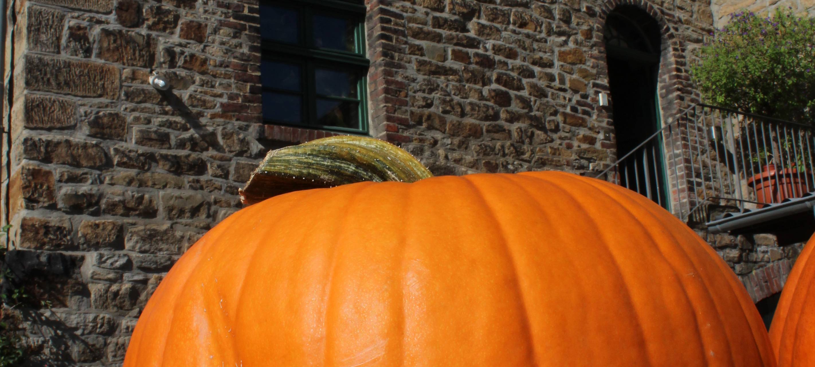 Ökomarkt auf Zeche Nachtigall