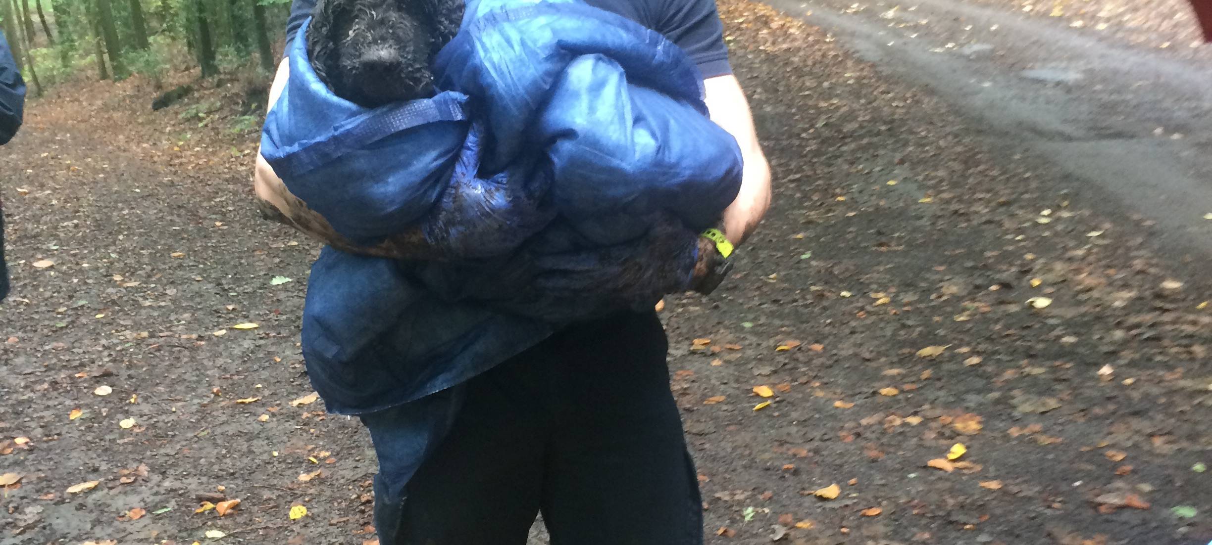 Rettungsaktion im Schulenbergwald