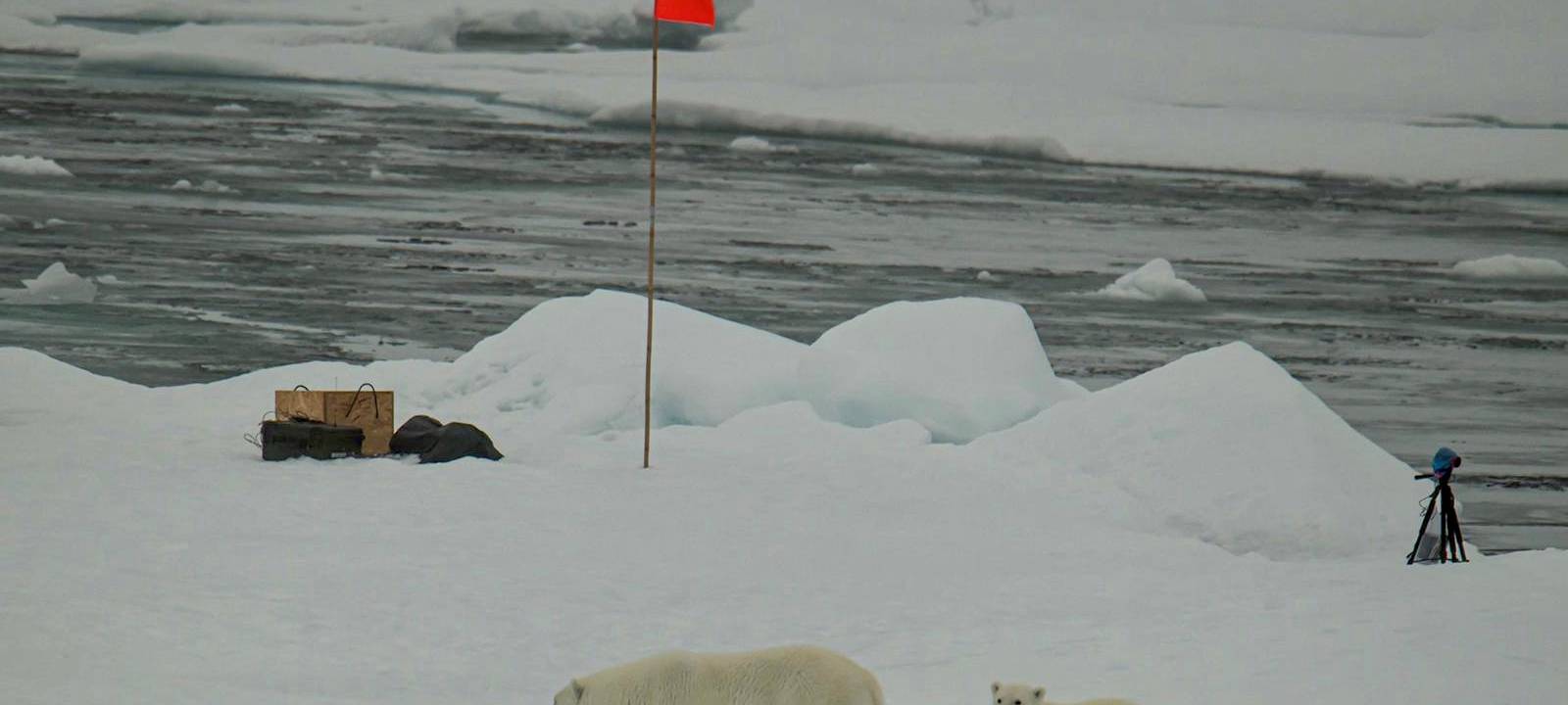Exklusive Bilder von der Polarstern-Expediton "MOSAiC" in der Arktis