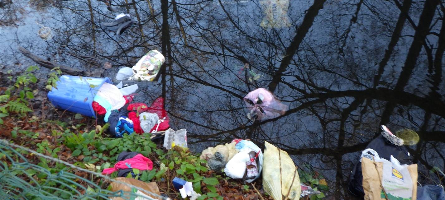 Müll illegal in Fischteich entsorgt
