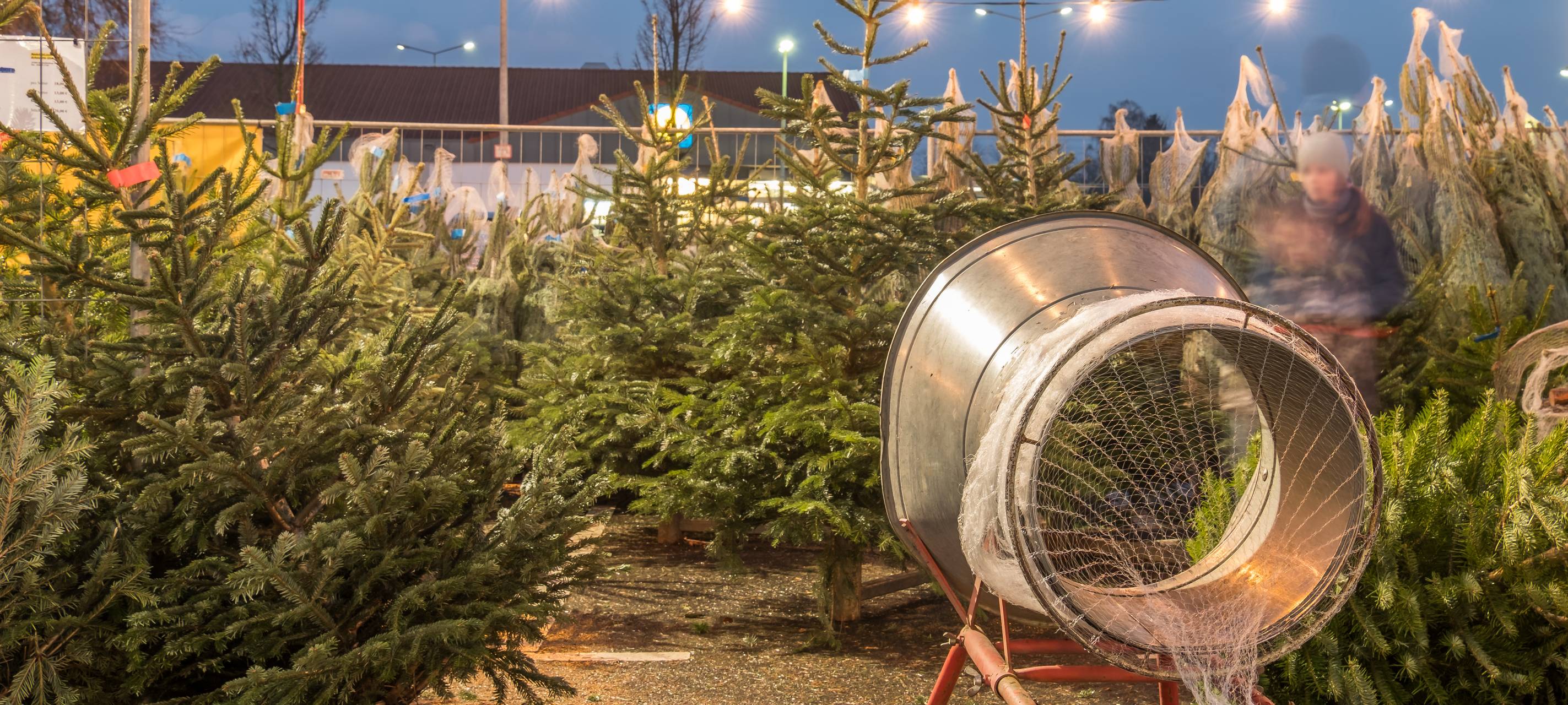 Wir schenken euch Weihnachtsbäume