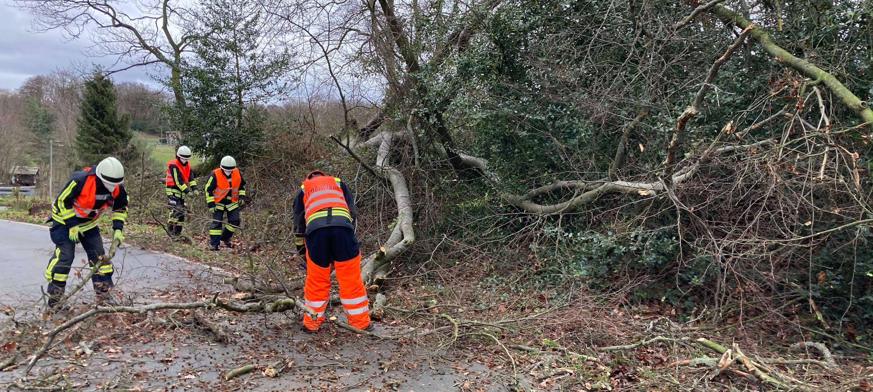 Sturmtief hat im Kreis viele Bäume entwurzelt