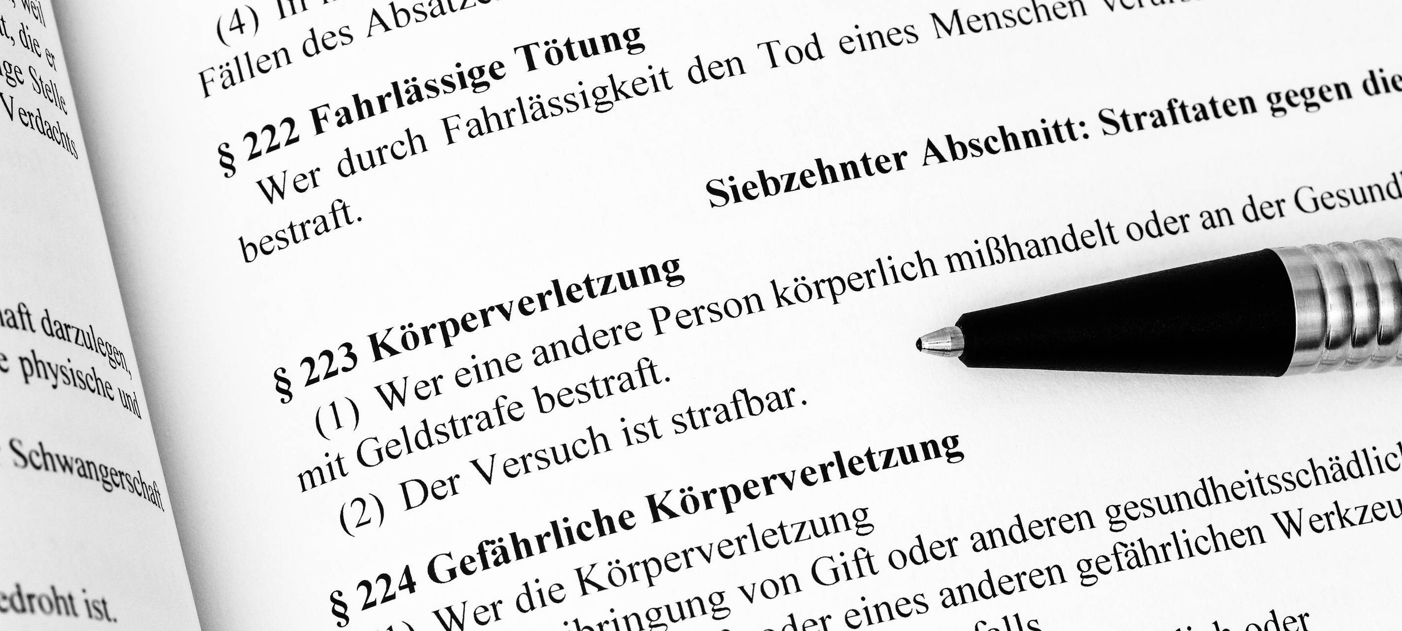 Polizeihundattacke jetzt vor Gericht