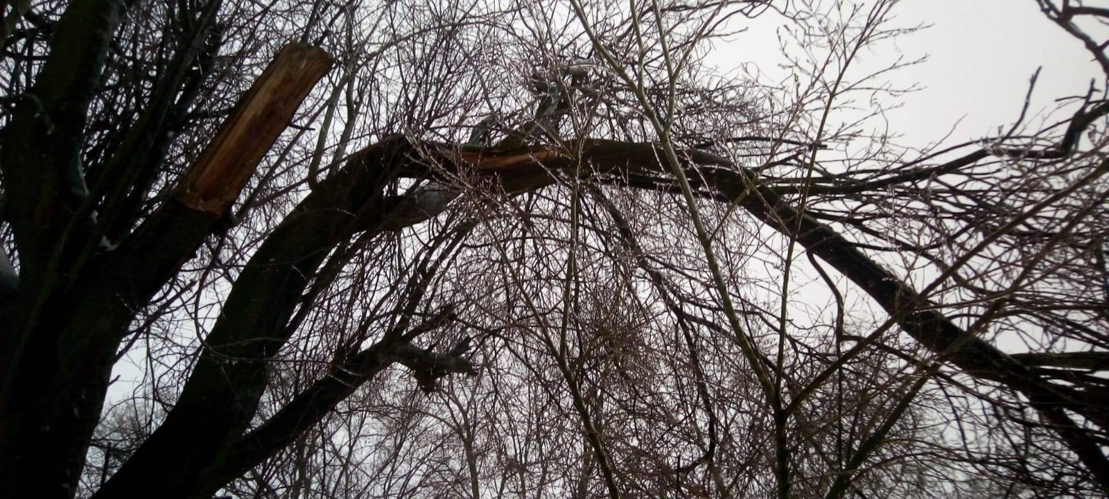 Wintereinbruch hat Ennepe-Ruhr-Kreis im Griff