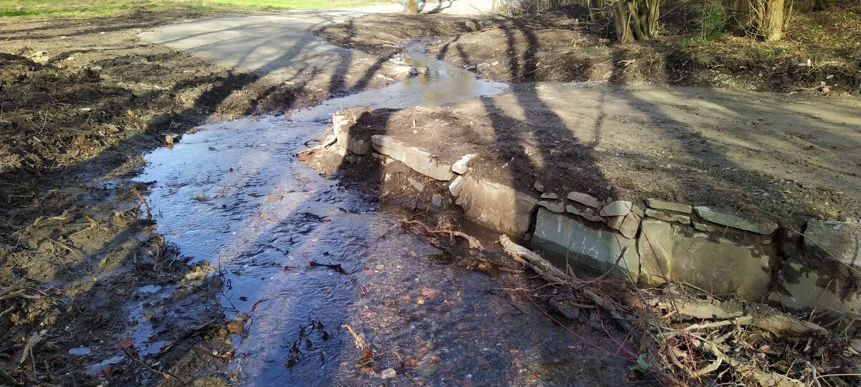 Teilstück ist naturnah und ökologisch aufgewertet
