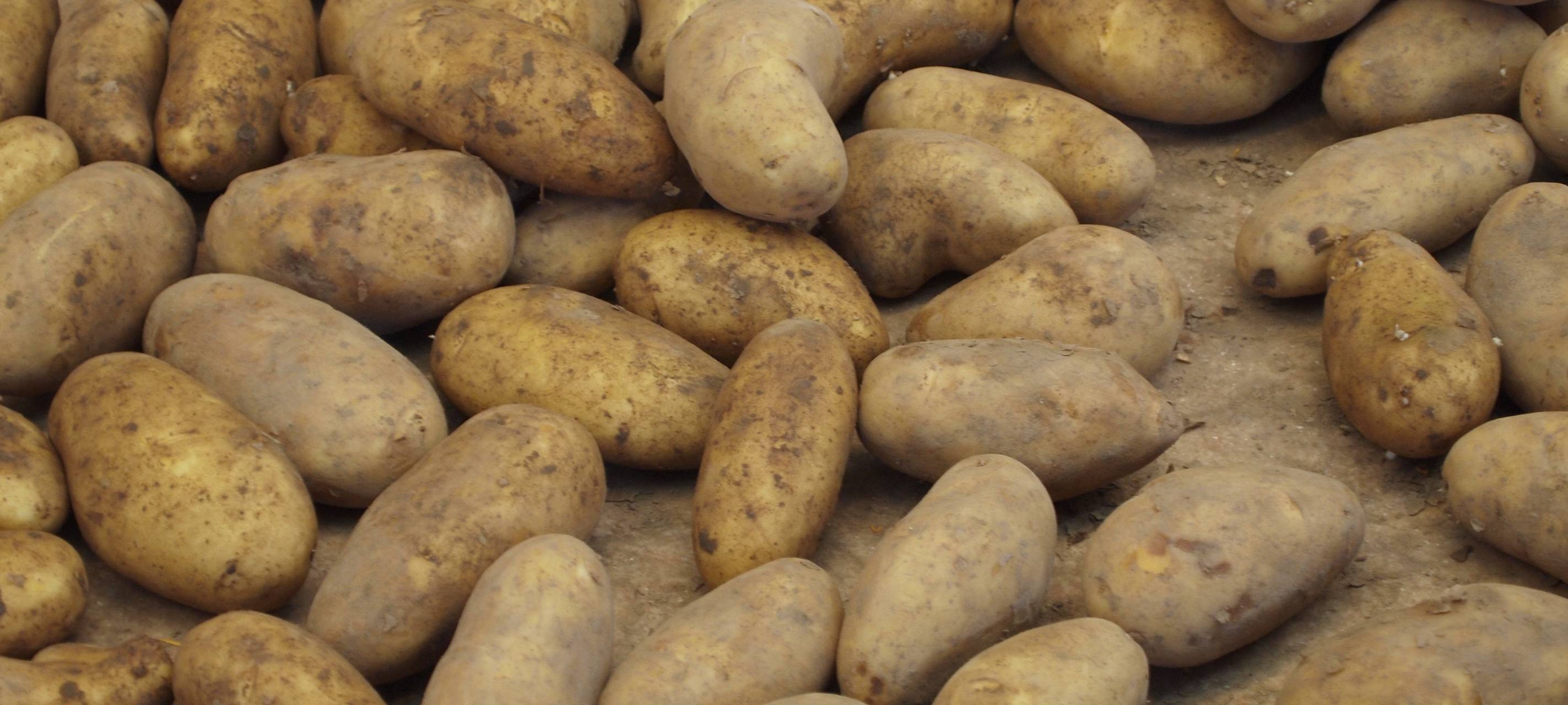 Sprockhövel: Wochenmarkt vor dem Aus