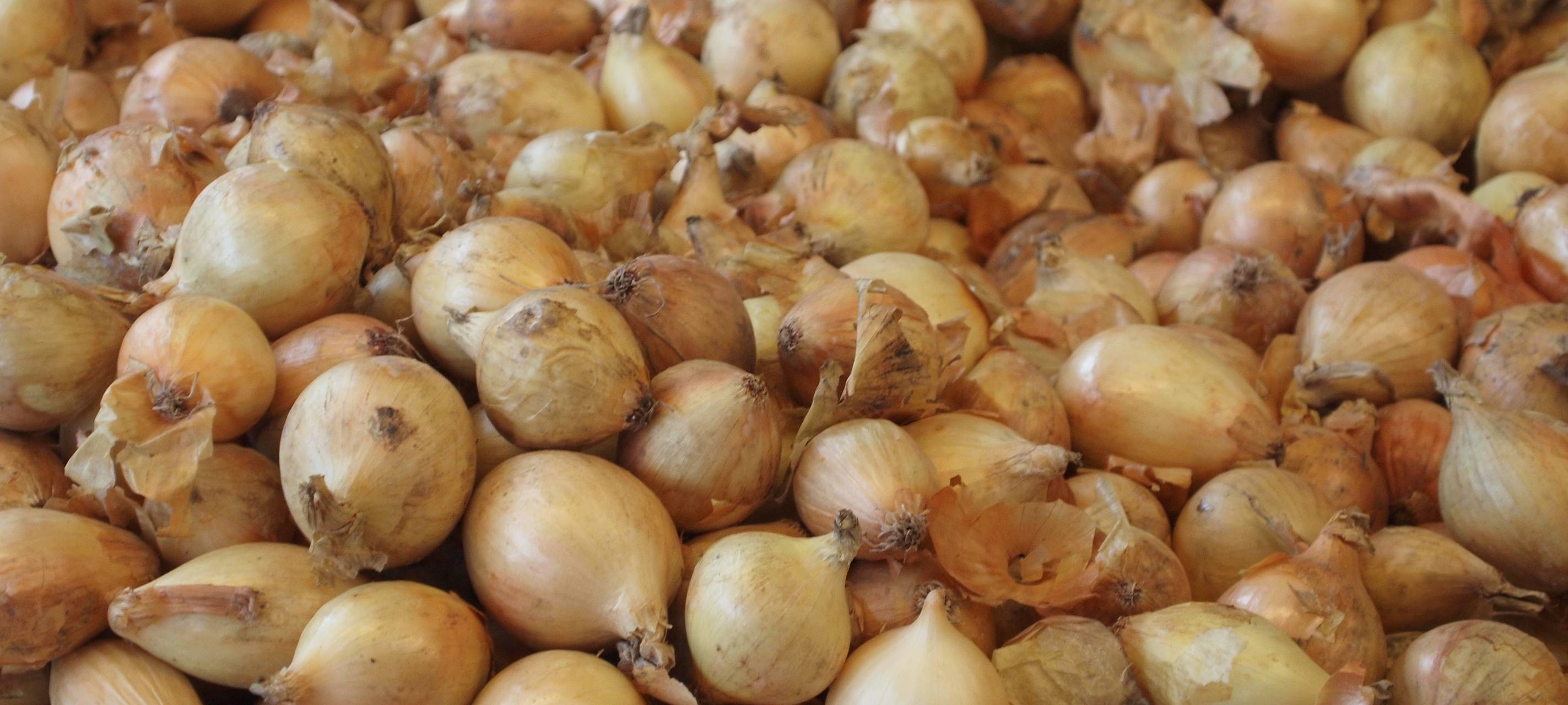 Alternative zur abgesagten Zwiebelkirmes