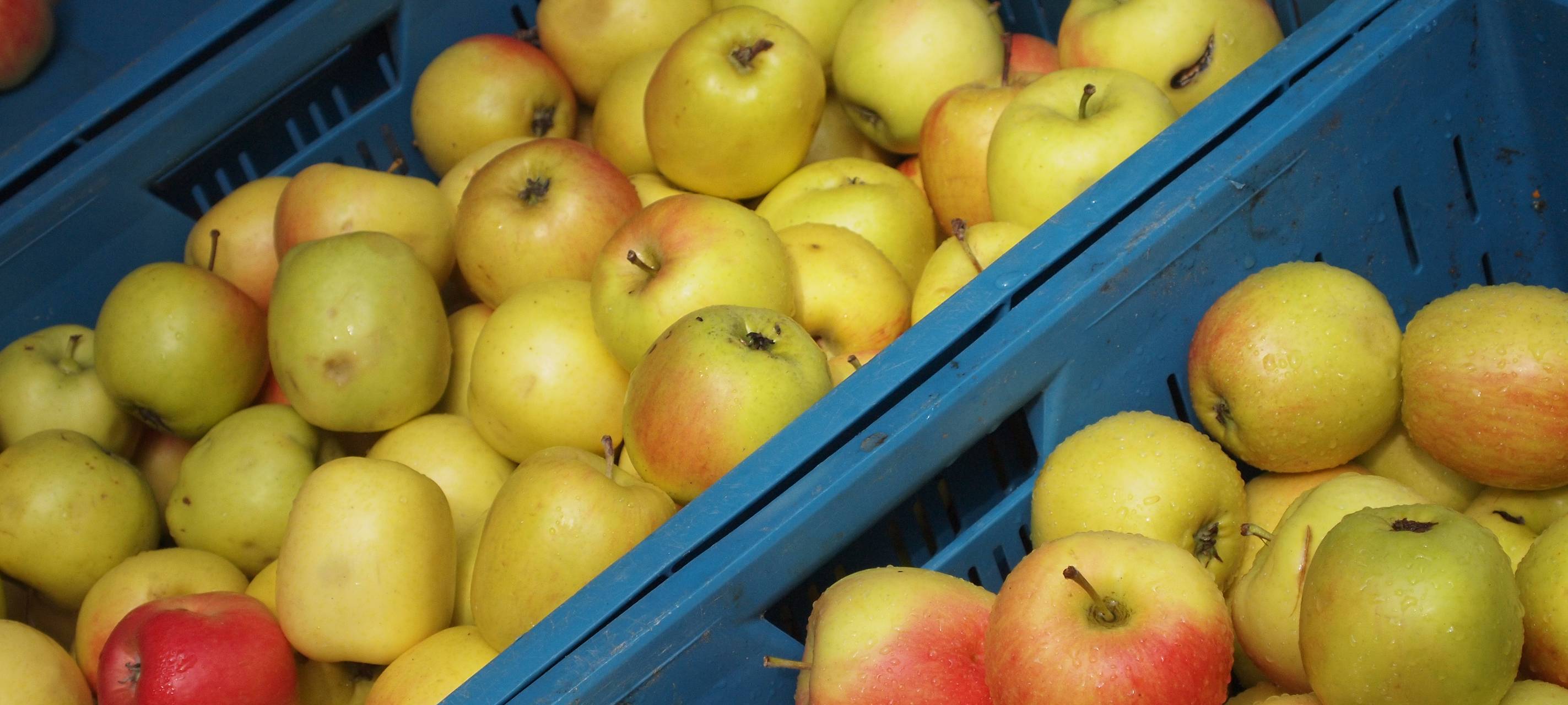 Mehr ältere Kunden bei Wittener Tafel