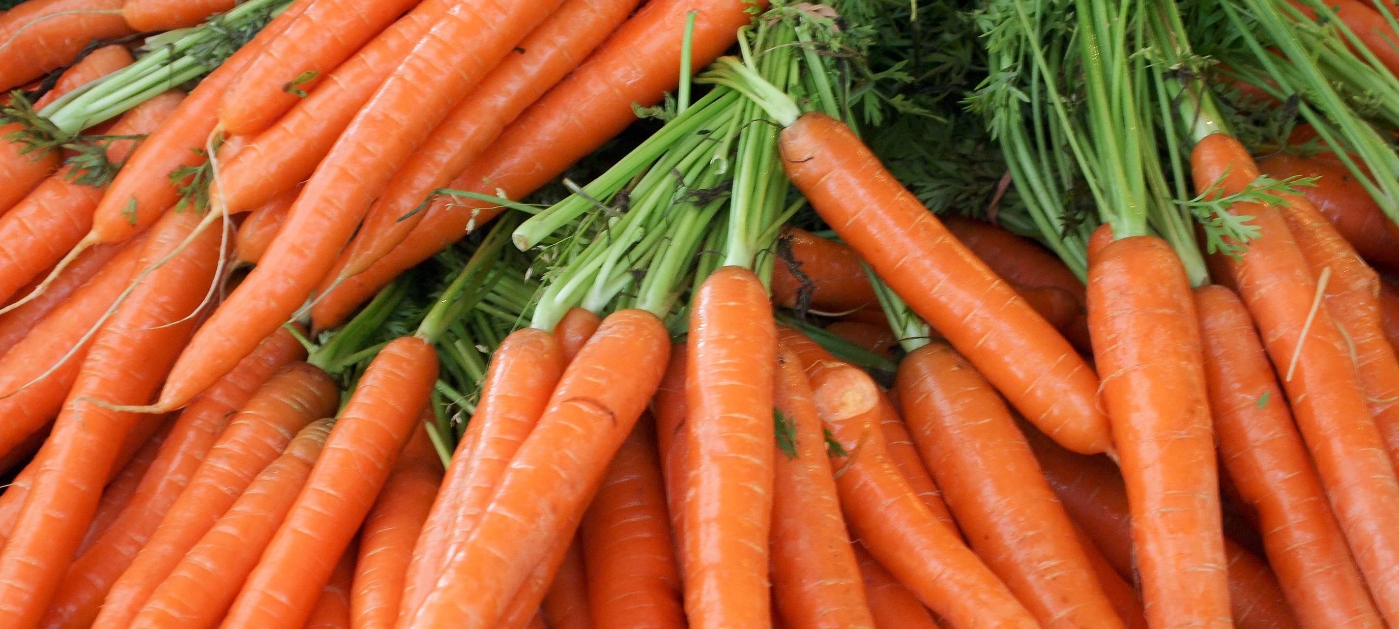 Projekt für regionale Lebensmittel