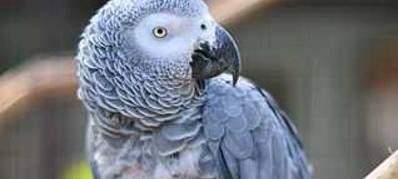 Ennepetal: Hülsenbecker Tal wird umgebaut