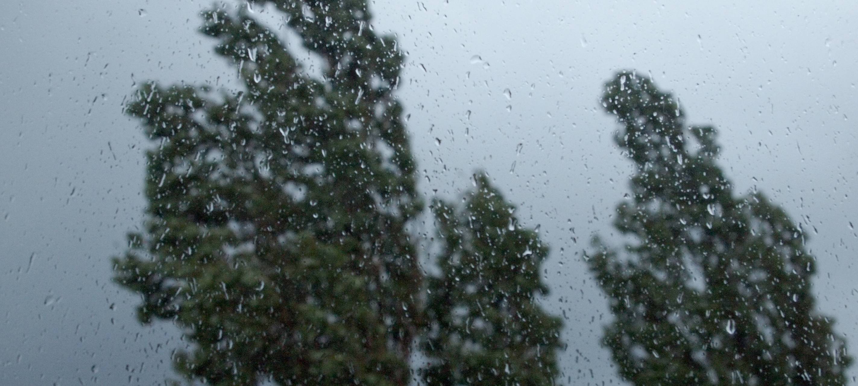 Rekordregenmengen im März gefallen