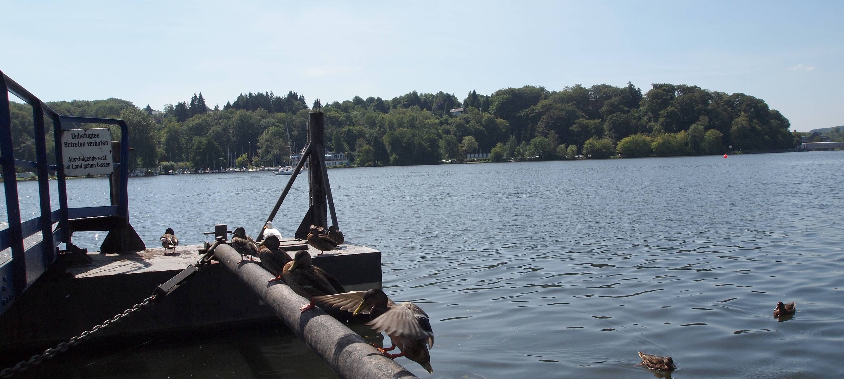Infopoint Fischliftsystem öffnet wieder