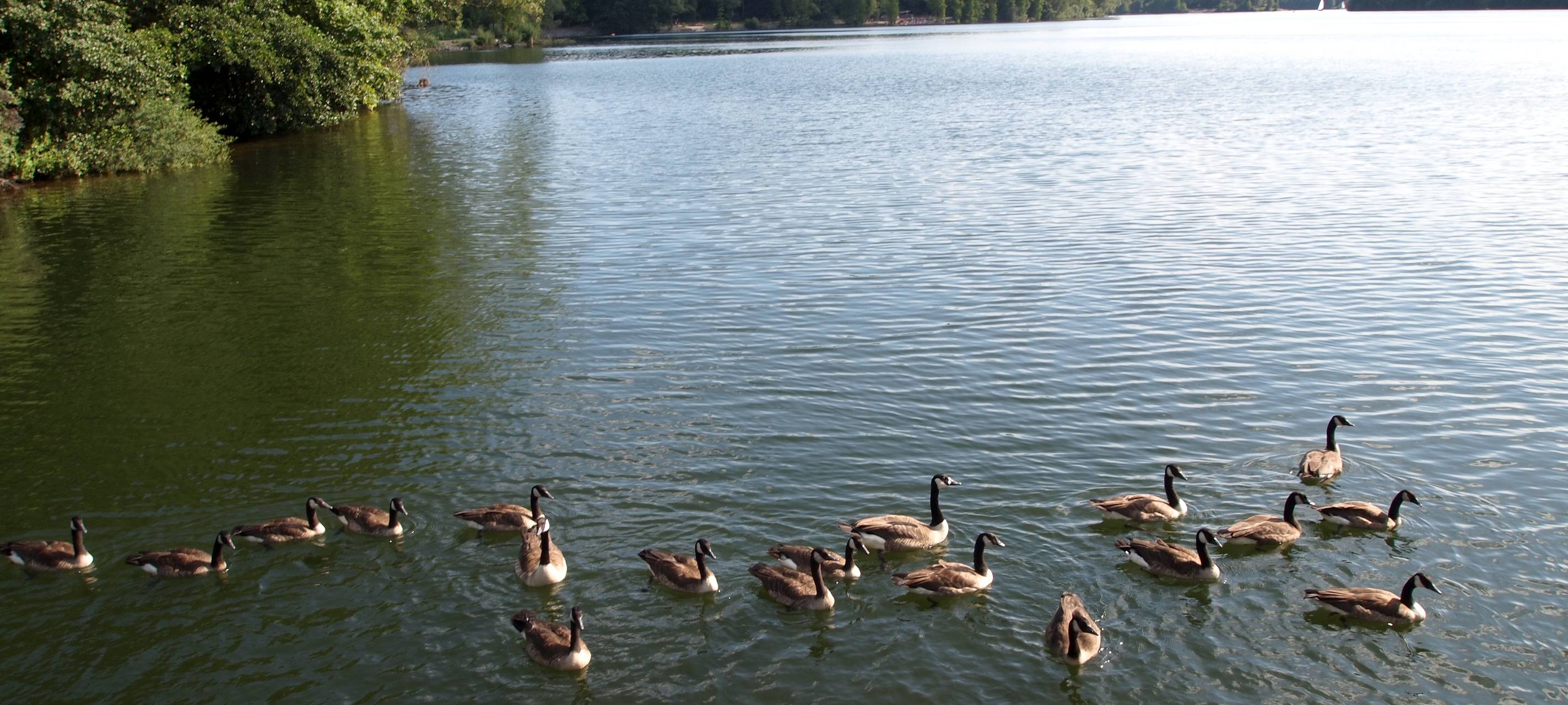 Ruhrverband warnt: Vorsicht in Seen und Talsperren