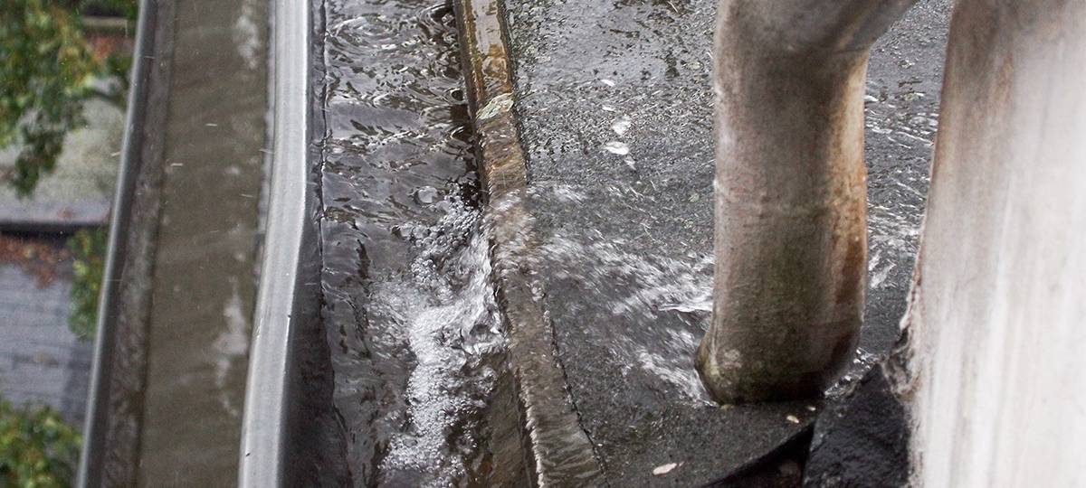 Februar war besonders nass und warm