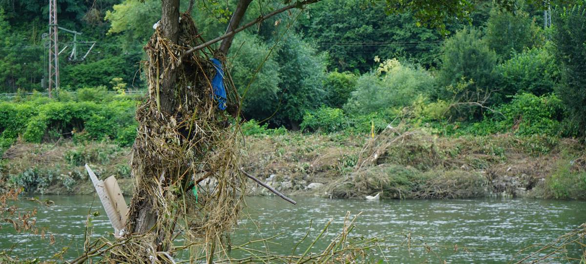 Müllsammel-Aktion in Witten