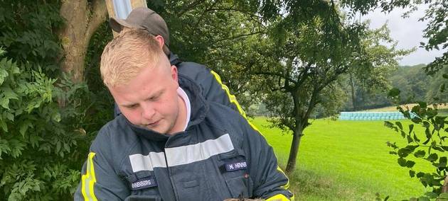 Hattinger Feuerwehr fängt entlaufenen Pfau