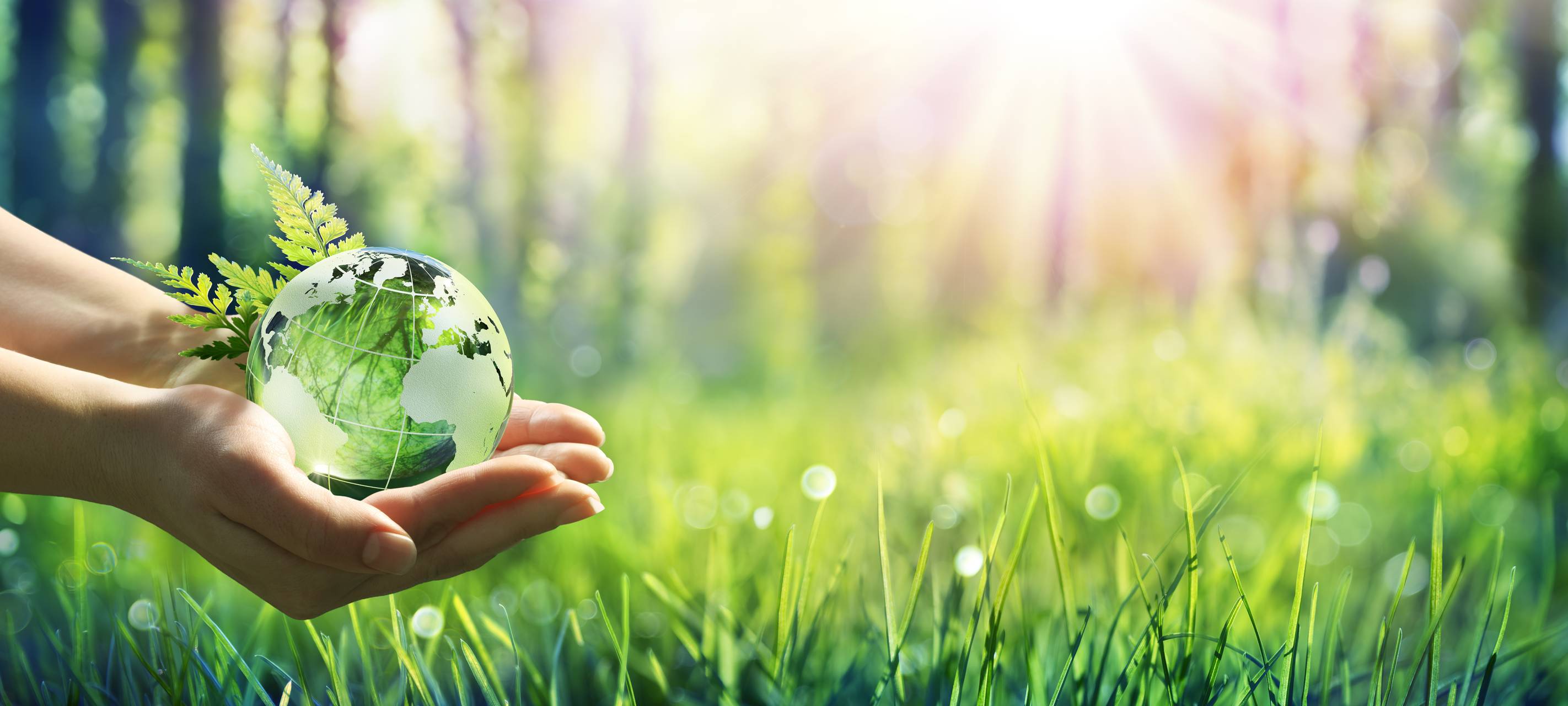 LWL fördert biologische Stationen